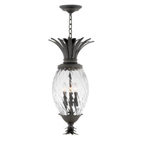 Plantation Large Hanging Lantern - Museum Black - by Hinkley