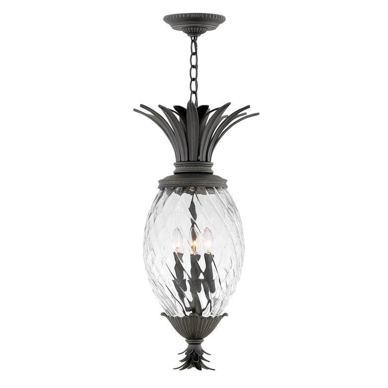 Plantation Large Hanging Lantern - Museum Black - by Hinkley