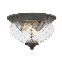 Plantation Small Flush Mount - Museum Black - by Hinkley