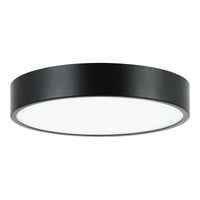 Plato Ceiling Mount 11 Inch Black