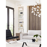 Plural Dome Picture Light