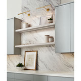 Plural Faceted Picture Light