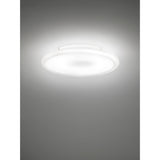 Pod Wall/Ceiling Light