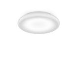 Pod Wall/Ceiling Light