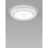 Pod Wall/Ceiling Light