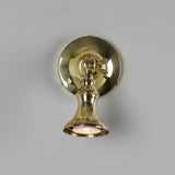 Polished Brass Accra Traditional Small Brass Spotlight by Mullan Lighting