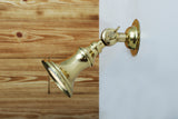 Polished Brass Accra Traditional Small Brass Spotlight by Mullan Lighting