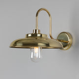 Polished Brass Darya Swan Neck Bathroom Wall Light By Mullan
