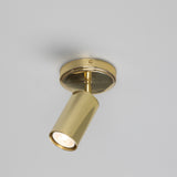 Polished Brass Evanston Single Ceiling Light by Mullan Lighting
