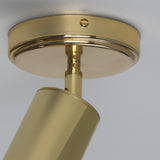 Polished Brass Evanston Single Ceiling Light by Mullan Lighting