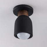 Pompeii Flush Mount Lava / Black by Maxim Lighting
