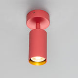 Powder Coated Matte Antique Pink Evanston Single Ceiling Light by Mullan Lighting