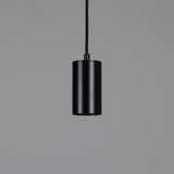 Powder Coated Matte Black Evanston Brass Pendant Spotlight by Mullan Lighting