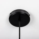 Powder Coated Matte Black Evanston Brass Pendant Spotlight by Mullan Lighting Canopy