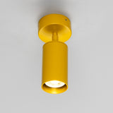 Powder Coated Matte Honey Yellow Evanston Single Ceiling Light by Mullan Lighting