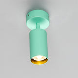 Powder Coated Matte Mint Turquoise Evanston Single Ceiling Light by Mullan Lighting