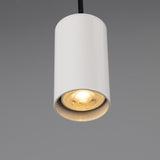 Powder Coated White Evanston Brass Pendant Spotlight by Mullan Lighting Zoomed View