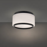Preston Flush Mount