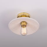 Pyrus Ceiling Light