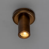 Quin Ceiling Light - Antique Brass