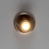 Quin Ceiling Light - Antique Silver