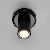 Quin Ceiling Light Matt_Black