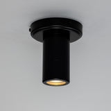 Quin Ceiling Light - Matt Black