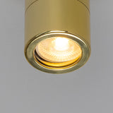 Quin Ceiling Light - Polished Brass