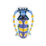 Rosalia Beetle Wall Art