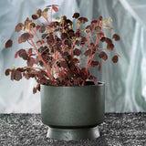 Rosendahl Recycled Flower Pot, Green By Rosendahl