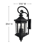 Raley Wall Mount Lantern