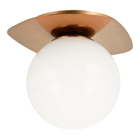 Razz Ceiling Mount 6 Inch
