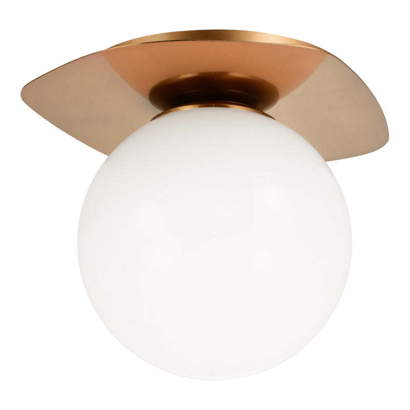 Razz Ceiling Mount 6 Inch