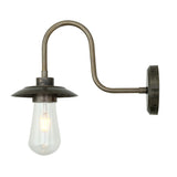 Ren Swan Neck Wall Light