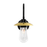 Ren Swan Neck Wall Light