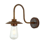 Ren Swan Neck Wall Light - Natural Brass