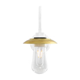 Ren Swan Neck Wall Light