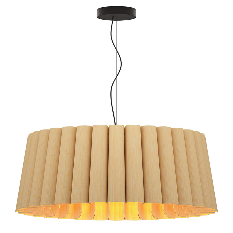 Renata M Suspension