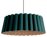 Renata Suspension