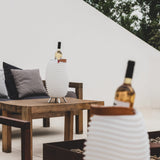 Reusable Ice Cubes - in a Synergy on a terrace
