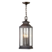 Revere Medium Hanging Lantern - Blackened Brass - by Hinkley