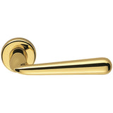 Robodue Door Lever in Polished Brass by Colombo Design