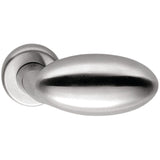 Robot Oval Door Knob in Satin Chrome by Colombo Design