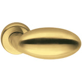 Robot Oval Door Knob in Satin Gold by Colombo Design