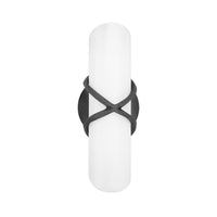 Roxbury Bath and Vanity Light - 11.5 Inch - Graphite by Troy Lighting