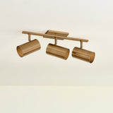 Rueben Bath and Vanity Light by Troy Lighting