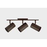 Rueben Bath and Vanity Light by Troy Lighting
