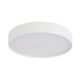 Rynn Flush Mount — Flush Mount