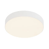 Rynn Flush Mount — Flush Mount