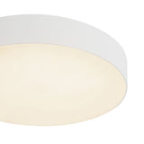 Rynn Flush Mount — Flush Mount